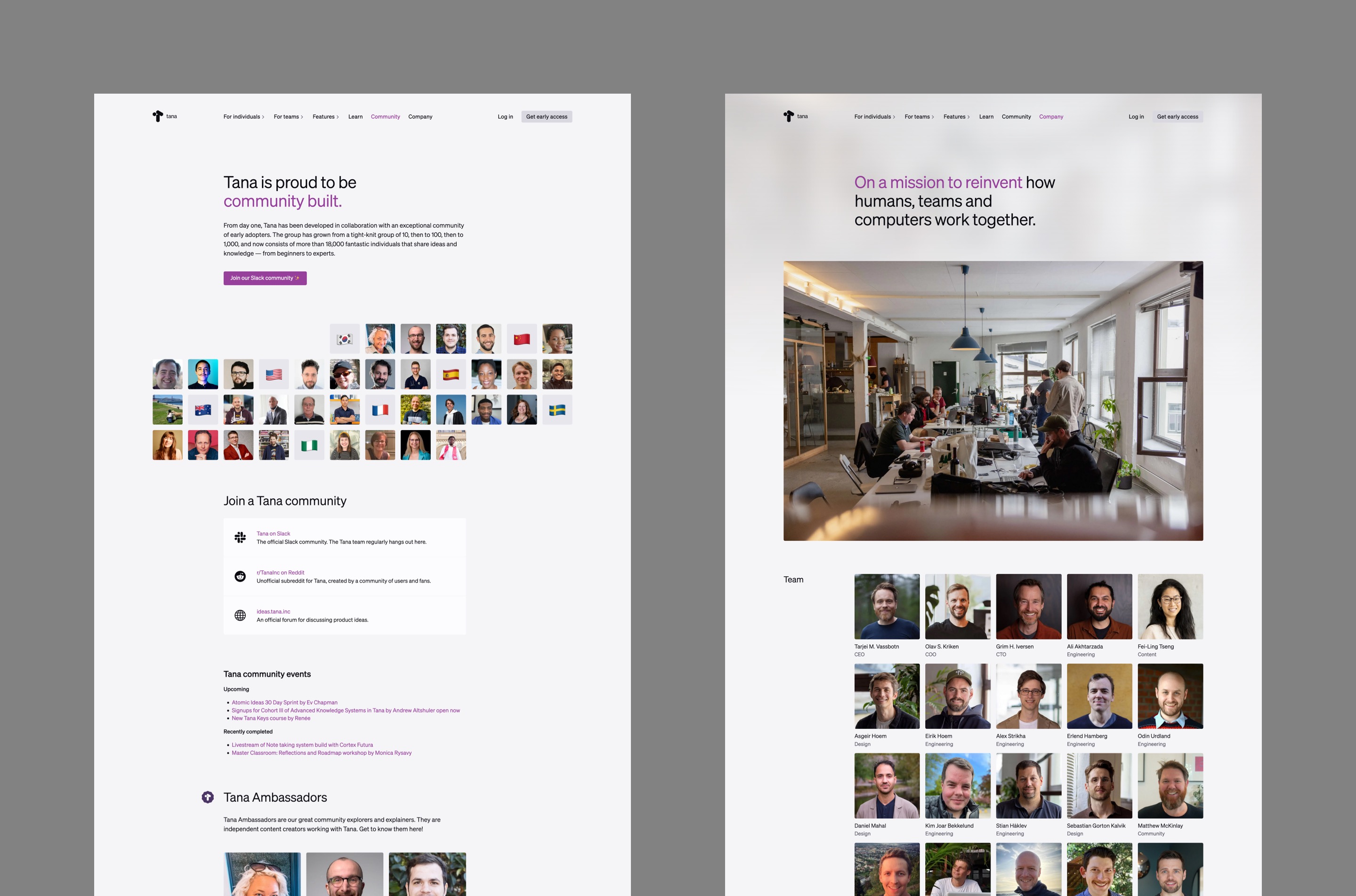 Screenshots of two pages: The Tana Communty page and a page about the company